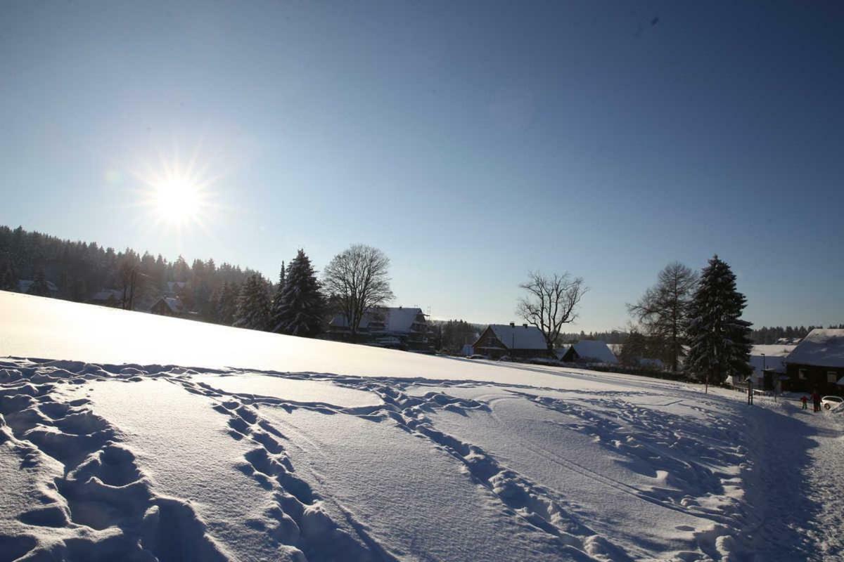Fewo-Lerbachtal Osterode am Harz Exterior photo